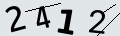 verifycode